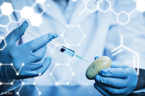 探索生命密碼 生物科學技術(shù)與計算機的現(xiàn)代融合